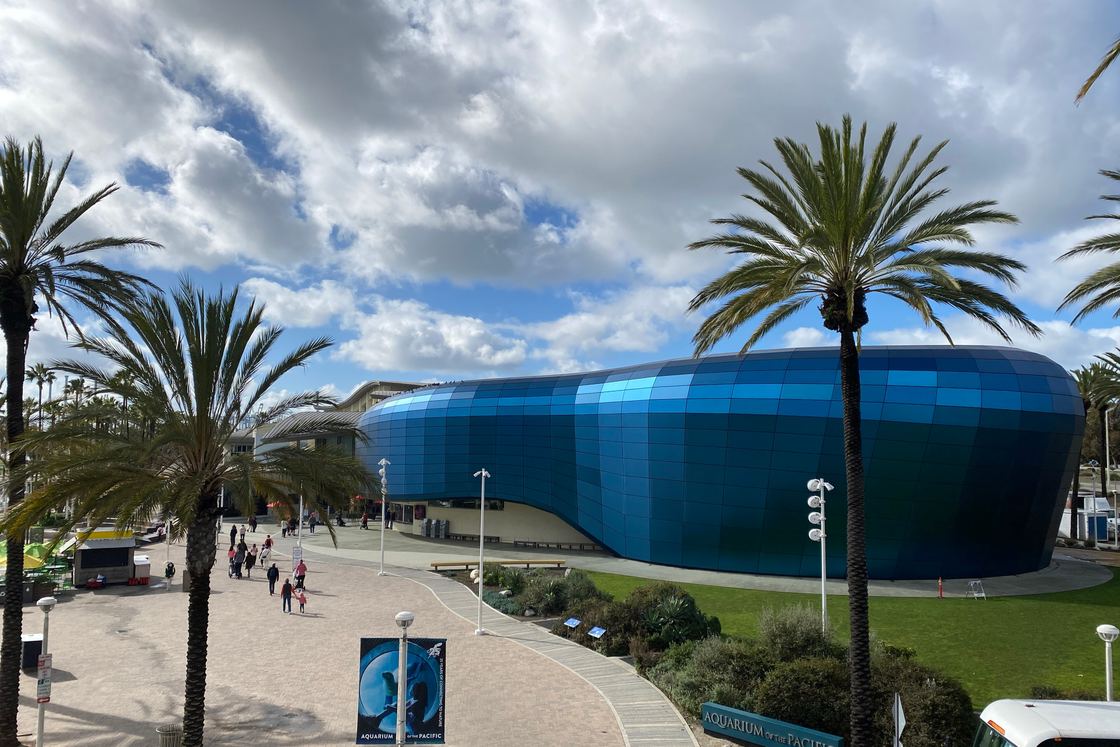The blue wave-shaped front of the Aquarium of the Pacific, framed by palm trees